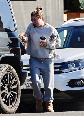 Ashley-Tisdale---Brings-her-dog-along-on-a-mid-day-coffee-run-in-Studio-City-01.jpg